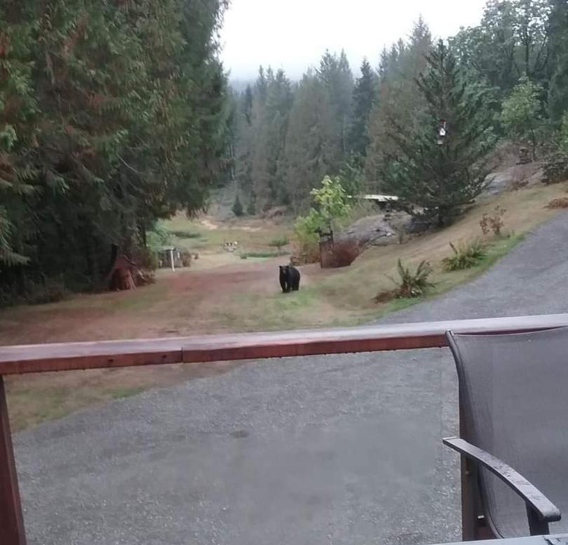 Beaver Hut Bed And Breakfast Port Alberni Exterior photo